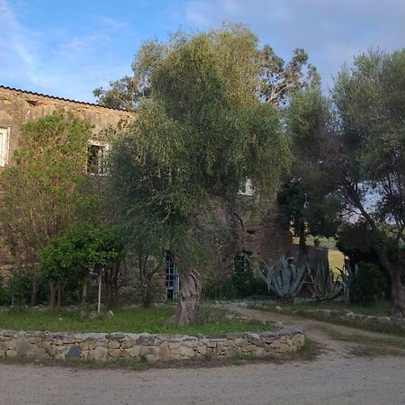 Domaine Ostriconi Bed and Breakfast Palasca  Εξωτερικό φωτογραφία