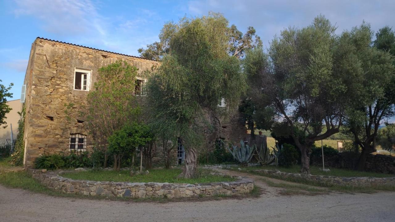 Domaine Ostriconi Bed and Breakfast Palasca  Εξωτερικό φωτογραφία